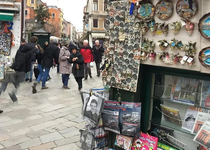 The Wolf House Greysclass * Венеция