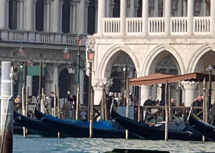 The Wolf House Greysclass Venice