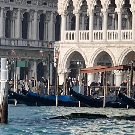 The Wolf House Greysclass Venedig