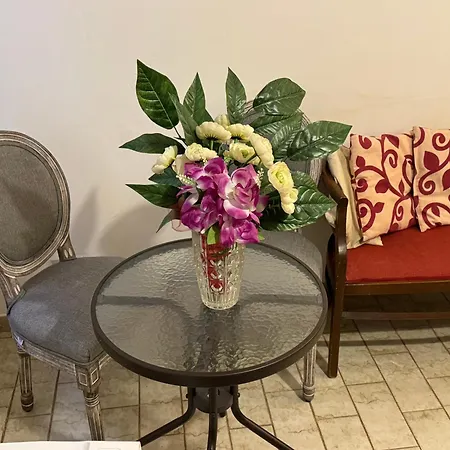 The Wolf House Inn Venice