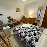The Wolf House Greysclass